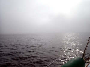 霧の大槌湾