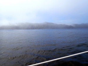 海霧が掛かる大槌湾